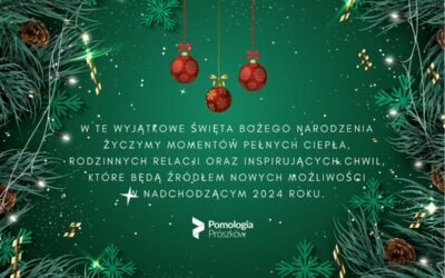 🎅Wesołych Świąt🎄i 😁 Nowego Roku🌟